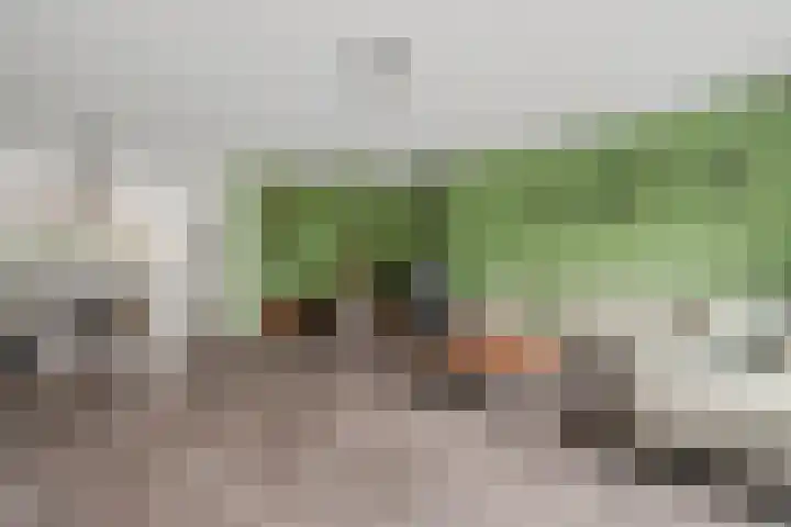 Brede Schouw 7 Reeuwijk thumbnail 11