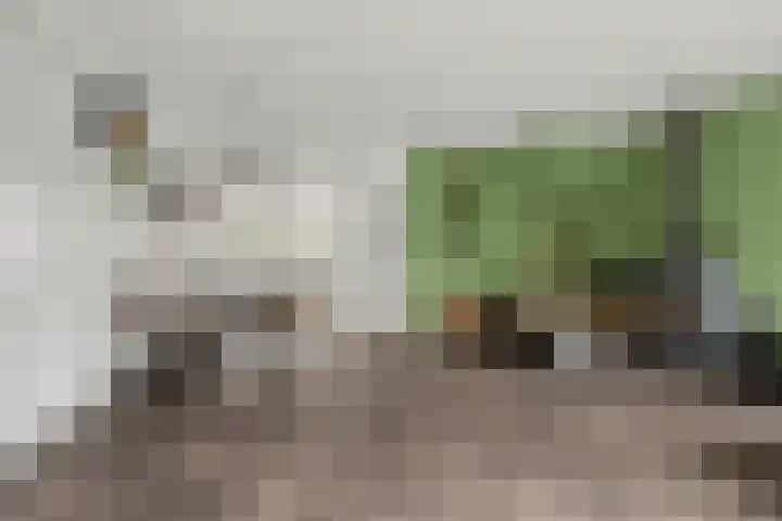 Brede Schouw 7 Reeuwijk thumbnail 12