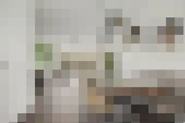 Brede Schouw 7 Reeuwijk thumbnail 15