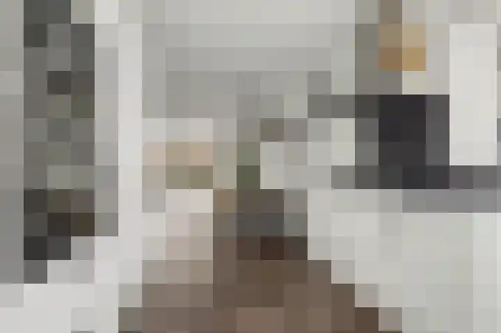 Brede Schouw 7 Reeuwijk thumbnail 16