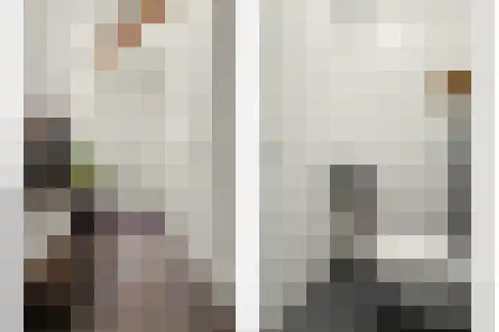 Brede Schouw 7 Reeuwijk thumbnail 18