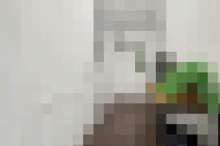 Brede Schouw 7 Reeuwijk thumbnail 19
