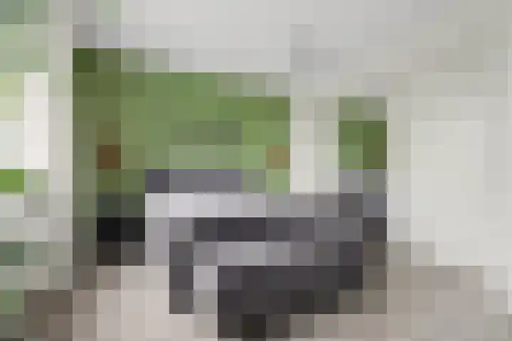 Brede Schouw 7 Reeuwijk thumbnail 21