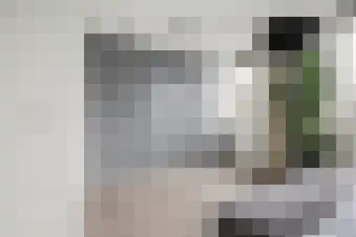 Brede Schouw 7 Reeuwijk thumbnail 22