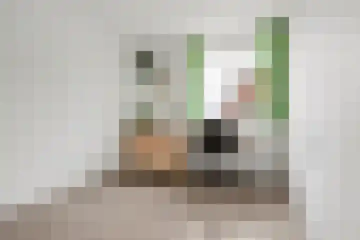 Brede Schouw 7 Reeuwijk thumbnail 23