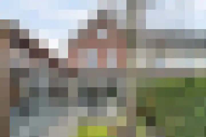 Brede Schouw 7 Reeuwijk thumbnail 33