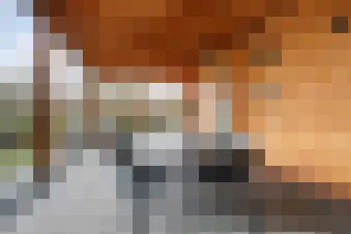 Brede Schouw 7 Reeuwijk thumbnail 34