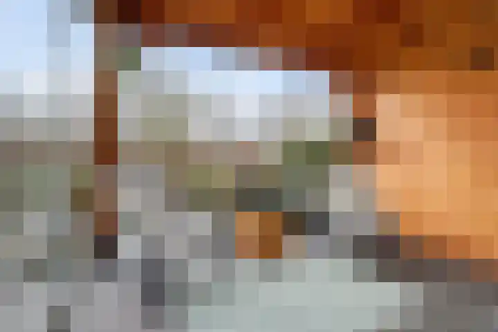 Brede Schouw 7 Reeuwijk thumbnail 35