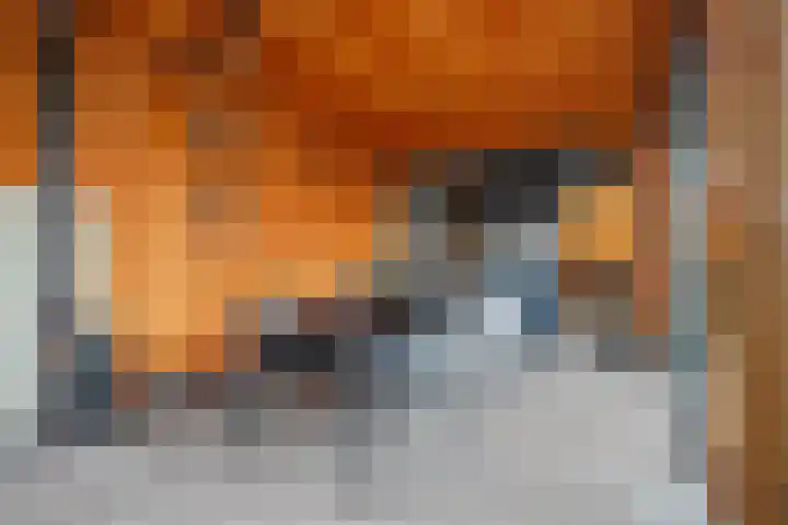 Brede Schouw 7 Reeuwijk thumbnail 36