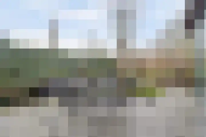 Brede Schouw 7 Reeuwijk thumbnail 37