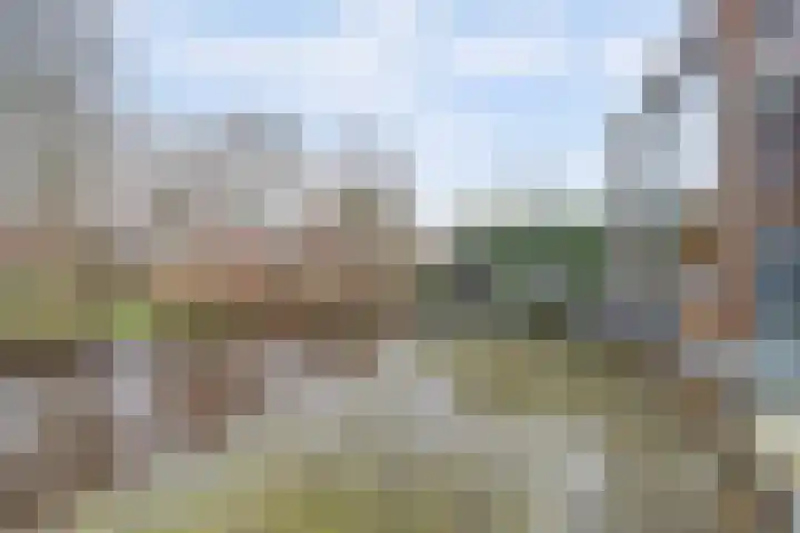 Brede Schouw 7 Reeuwijk thumbnail 38