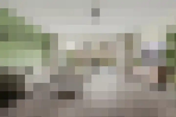 Brede Schouw 7 Reeuwijk thumbnail 4