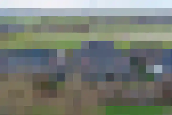 Brede Schouw 7 Reeuwijk thumbnail 41