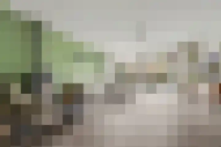 Brede Schouw 7 Reeuwijk thumbnail 9