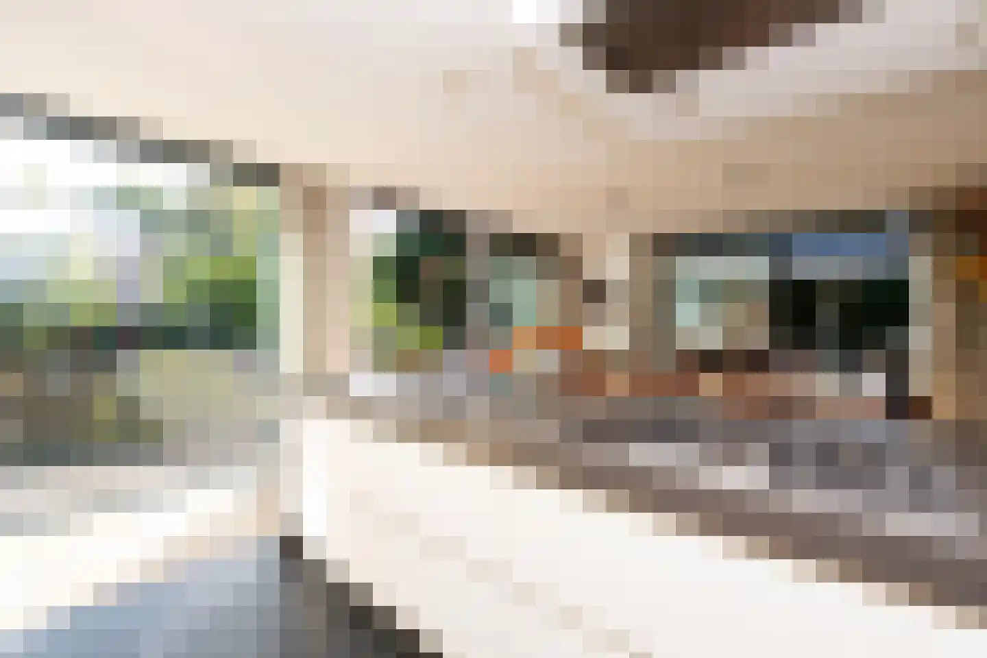 Brede Steeg 4 Oisterwijk thumbnail 13