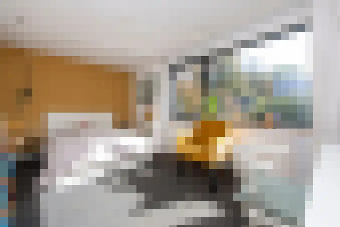 Brede Steeg 4 Oisterwijk thumbnail 15