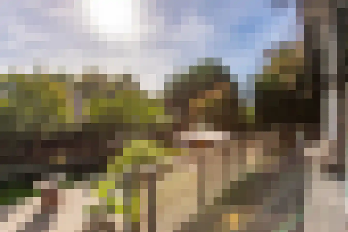Brede Steeg 4 Oisterwijk thumbnail 20