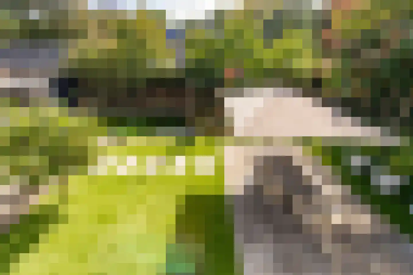 Brede Steeg 4 Oisterwijk thumbnail 24