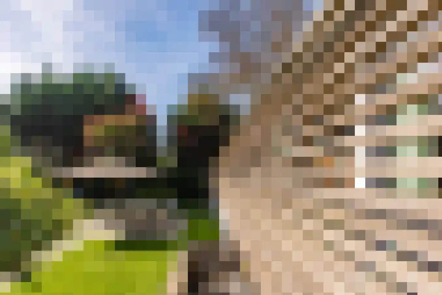 Brede Steeg 4 Oisterwijk thumbnail 26
