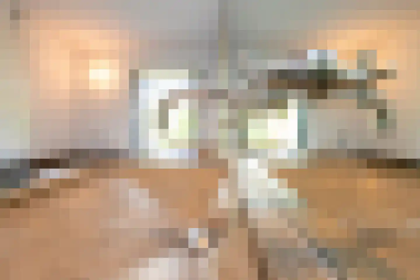 Brede Steeg 4 Oisterwijk thumbnail 31