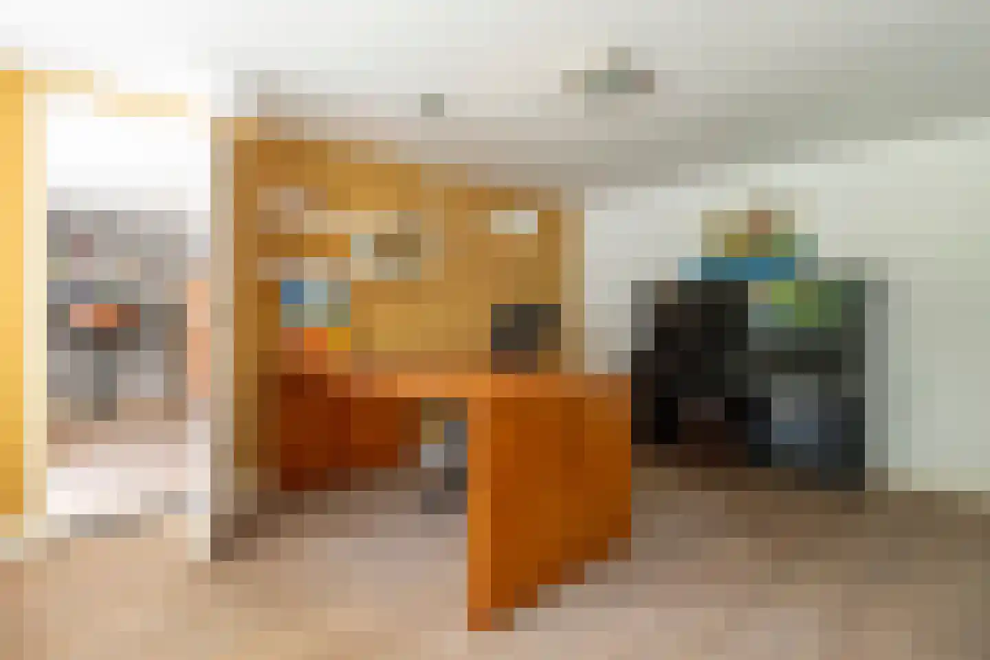Brede Steeg 4 Oisterwijk thumbnail 39