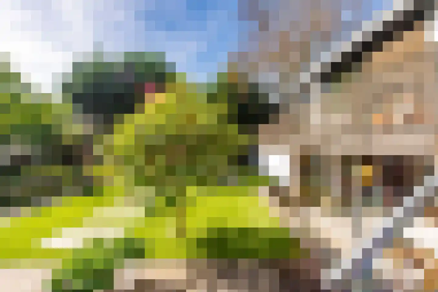 Brede Steeg 4 Oisterwijk thumbnail 42