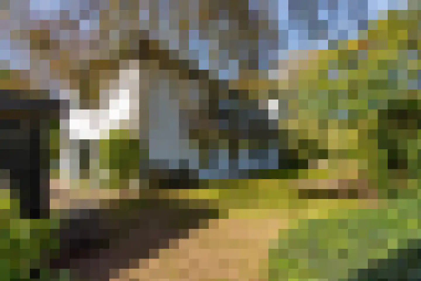 Brede Steeg 4 Oisterwijk thumbnail 44
