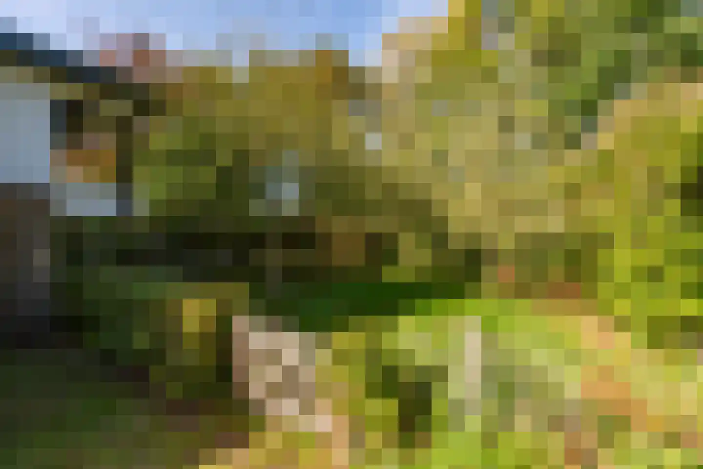 Brede Steeg 4 Oisterwijk thumbnail 45