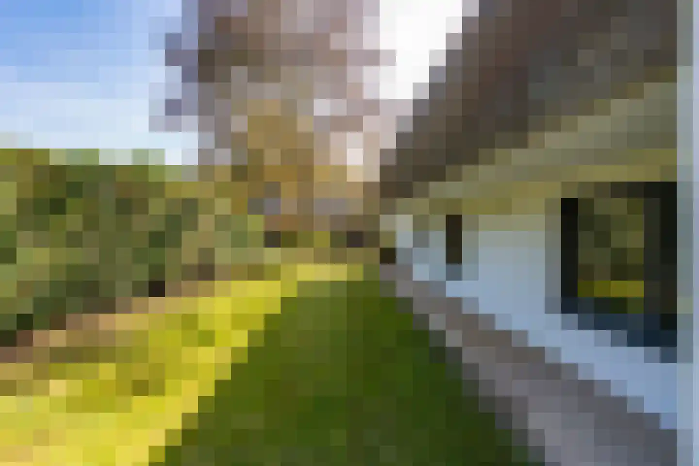 Brede Steeg 4 Oisterwijk thumbnail 46