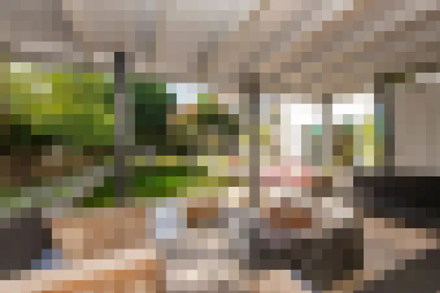 Brede Steeg 4 Oisterwijk thumbnail 47