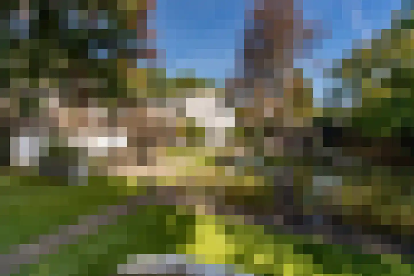 Brede Steeg 4 Oisterwijk thumbnail 57