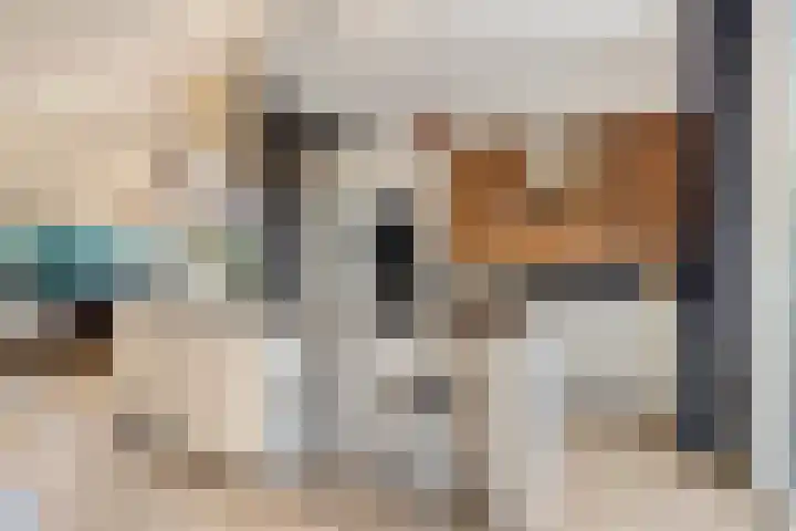 Bredebeek 31 Zwolle thumbnail 13