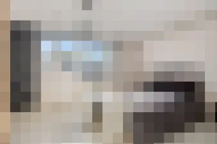 Bredebeek 31 Zwolle thumbnail 20