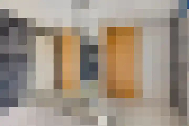Bredebeek 31 Zwolle thumbnail 21