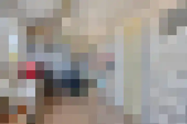 Bredebeek 31 Zwolle thumbnail 23