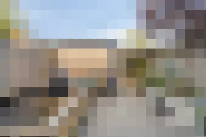 Bredebeek 31 Zwolle thumbnail 30