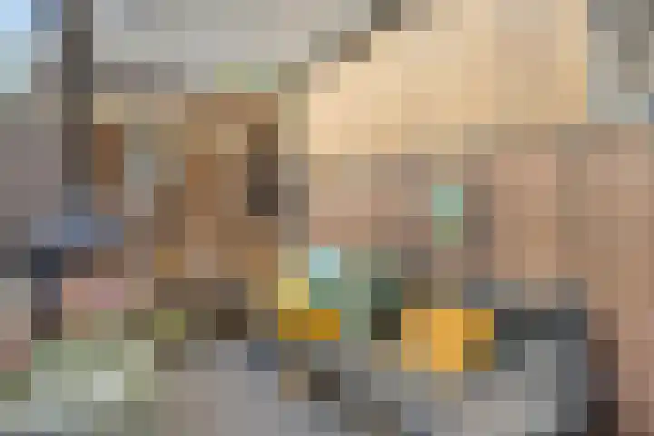 Bredebeek 31 Zwolle thumbnail 31