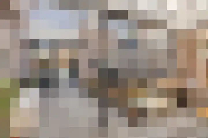 Bredebeek 31 Zwolle thumbnail 32