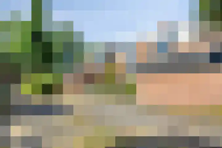 Bredebeek 31 Zwolle thumbnail 33