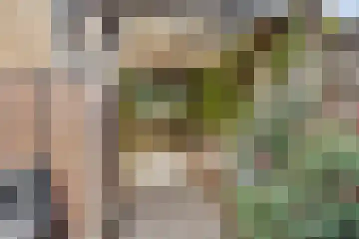 Bredebeek 31 Zwolle thumbnail 34