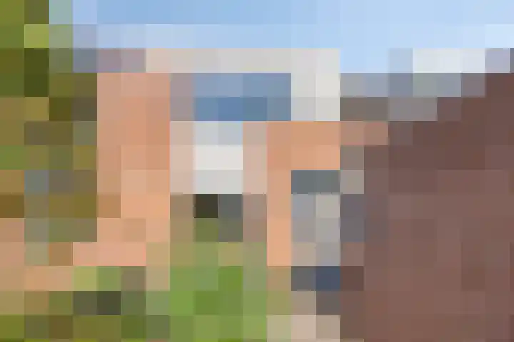 Bredebeek 31 Zwolle thumbnail 35