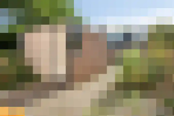 Bredebeek 31 Zwolle thumbnail 37