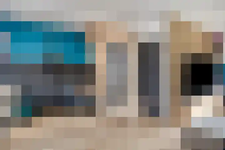 Bredebeek 31 Zwolle thumbnail 5