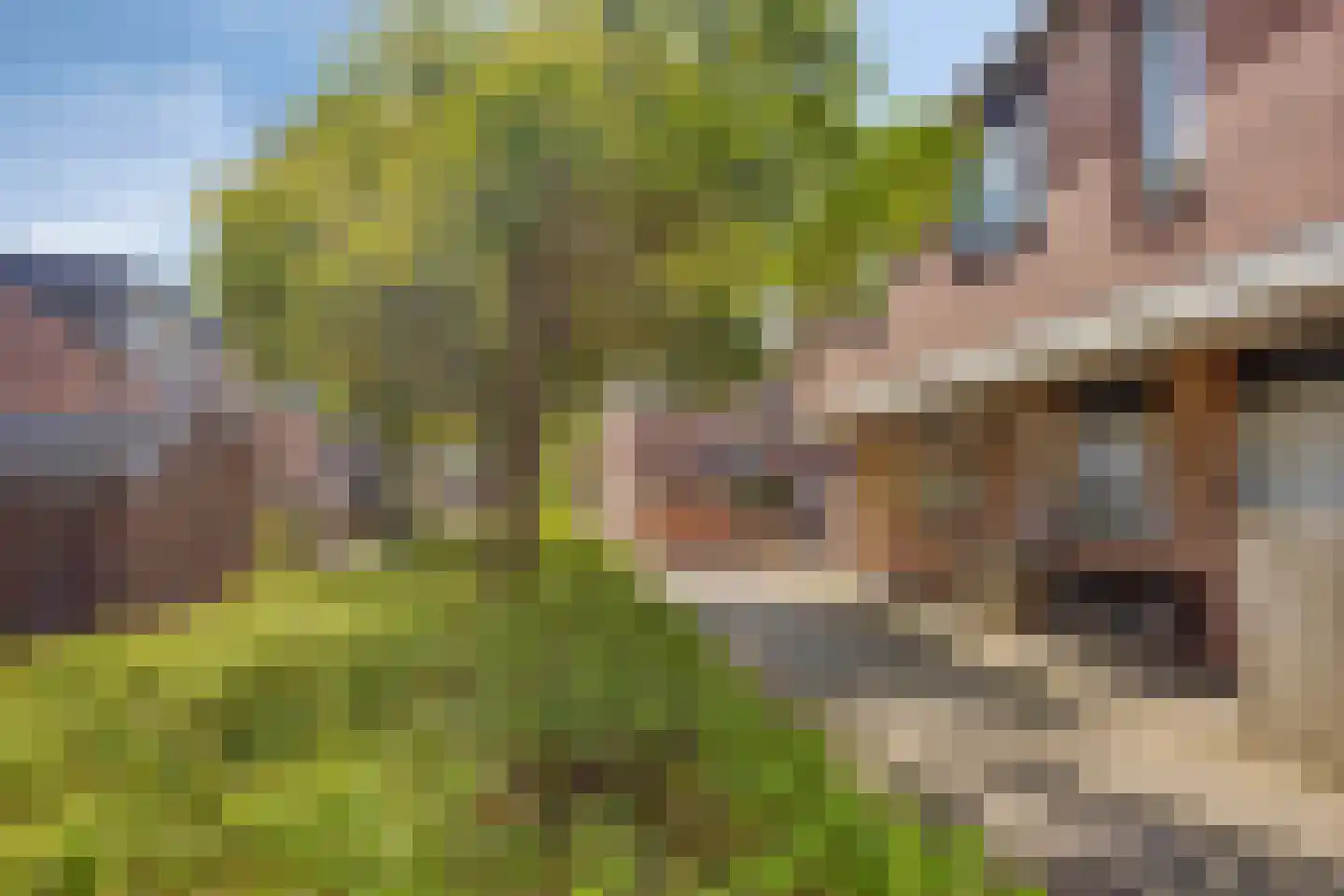 Bredebeek 94 Zwolle thumbnail 41