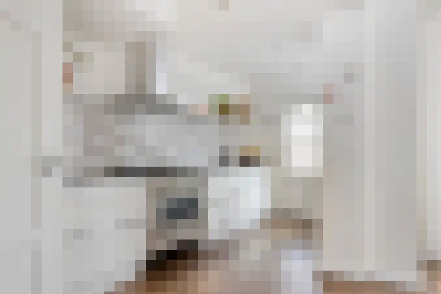 Brededwarsstraat 5 Roermond thumbnail 10