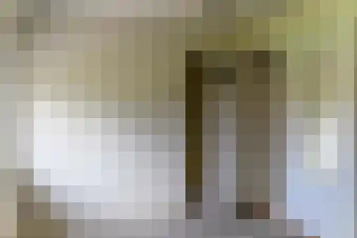 Bredehof 27 Espel thumbnail 28