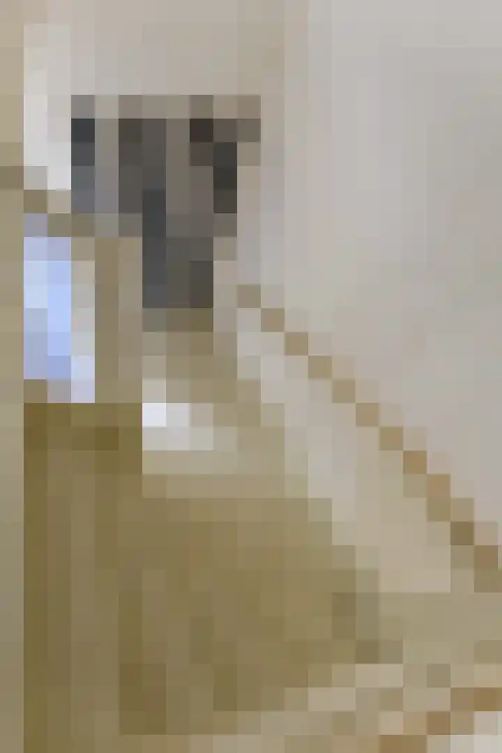 Bredehof 27 Espel thumbnail 36