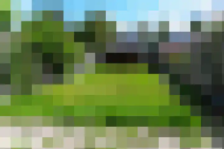 Bredehof 27 Espel thumbnail 37