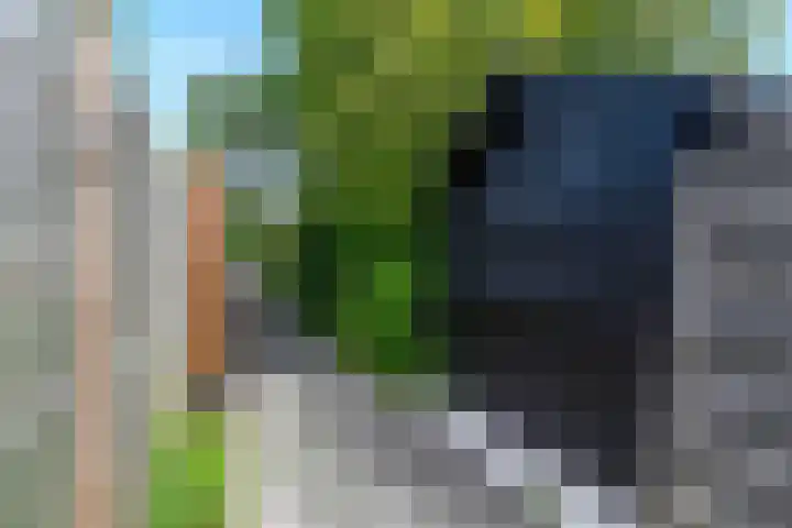Bredehof 27 Espel thumbnail 41