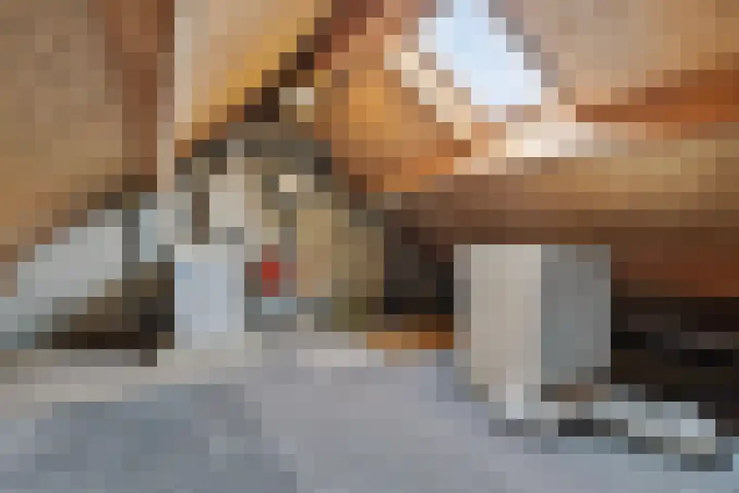 Bredehof 27 Rotterdam thumbnail 16